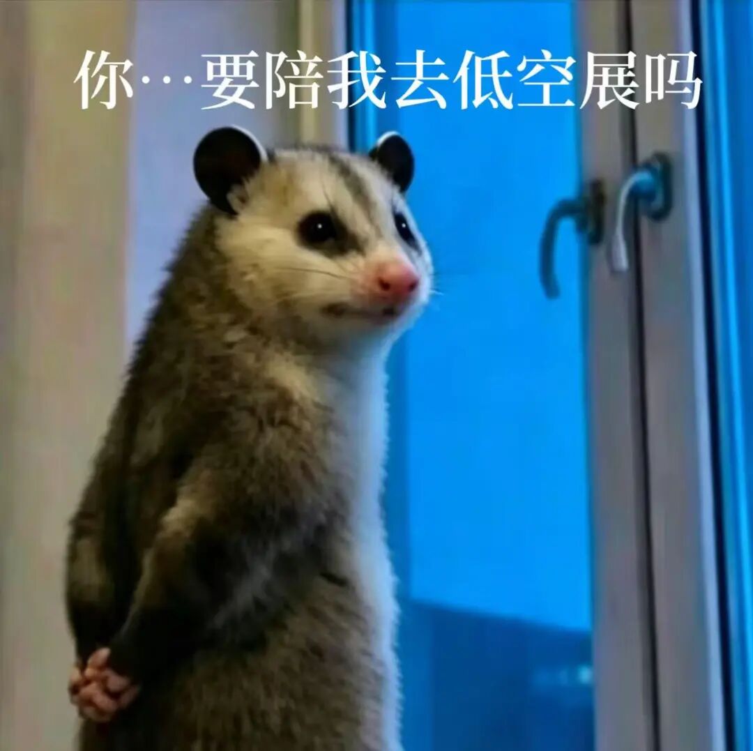 45ddf7d0bc2e07b7006a7f3a6c25cd22.jpg
